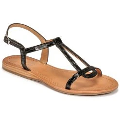 Les Tropéziennes Par M Belarbi - HACROC