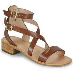 Les Tropéziennes Par M Belarbi - HOCEAN