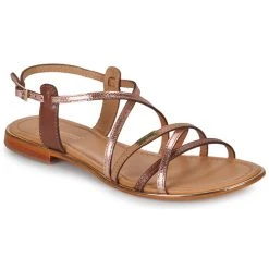 Les Tropéziennes Par M Belarbi - HARRY