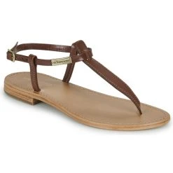 Les Tropéziennes Par M Belarbi - NARVIL